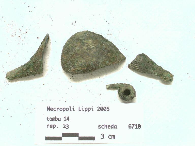 fibula in bronzo prima del restauro